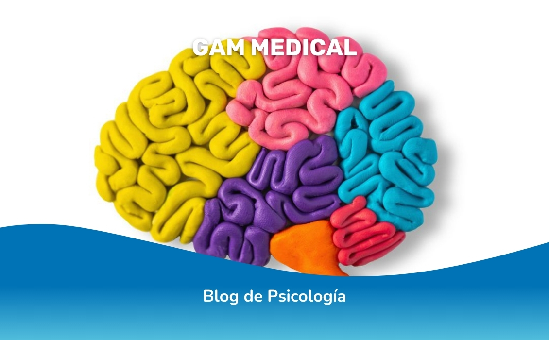 diferencias entre TDAH, DEA y NEAE