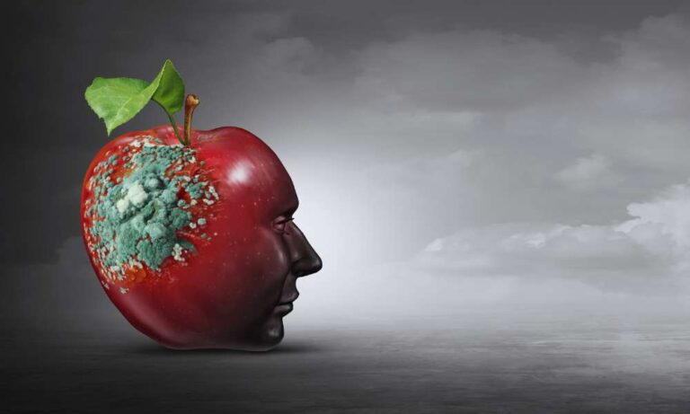 Brain Rot: cos'è?