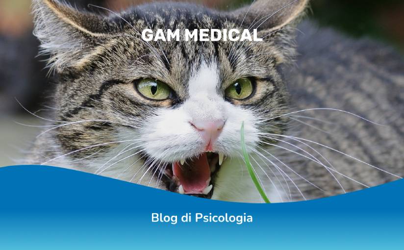 cos'e la zoofobia: significato