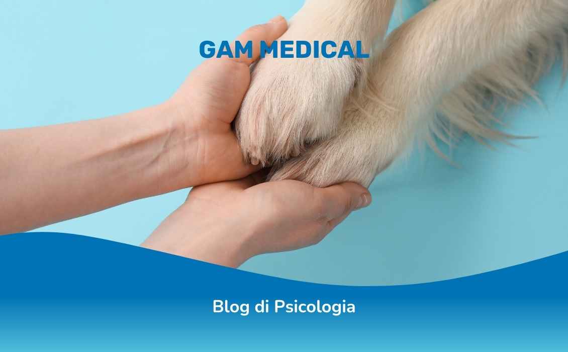 DOC e animali domestici: quando la paura prende il controllo