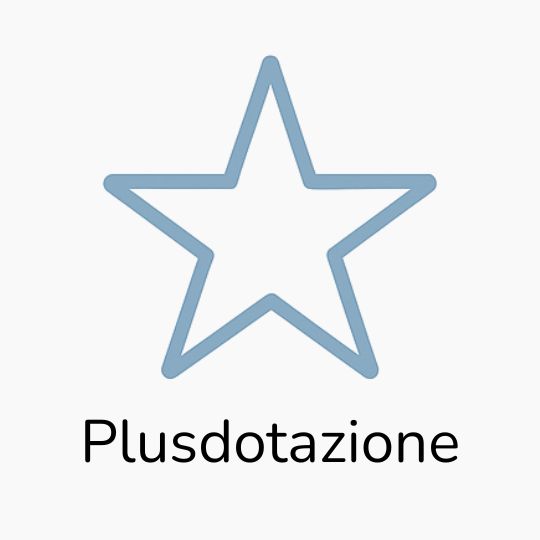 Plusdotazione